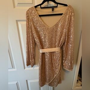 Gorgeous Sequin Dress 2x